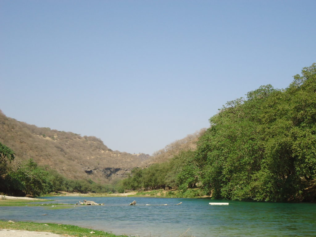 Wadi Darbat in February, March, April