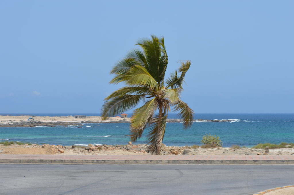 Mirbat Oman Beach