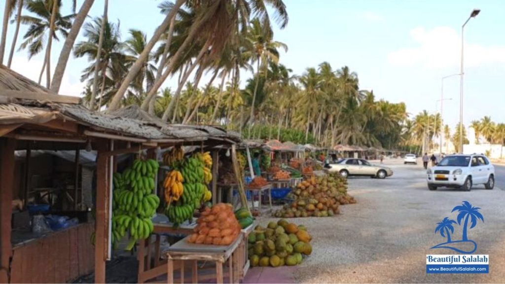 Coconut Huts in Haffa District on Sultan Qaboos Street in Salalah, Oman