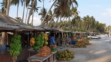 Sip Fresh Coconut Drink at Local Fruit Huts in Salalah, Oman