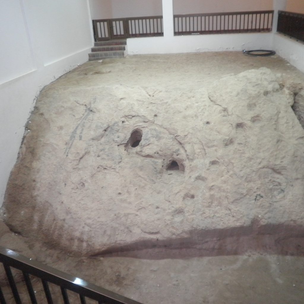 Nabi Saleh Camelfoot print