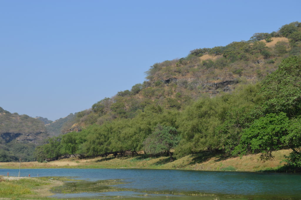 Wadi Darbat in November and December