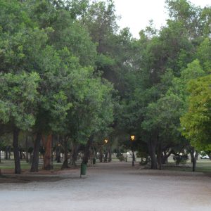 Ad-Dahariz Park