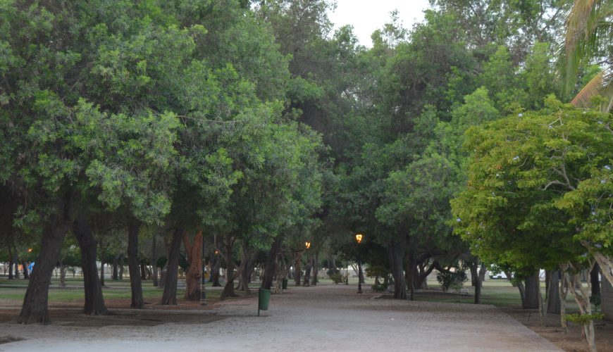Ad-Dahariz Park