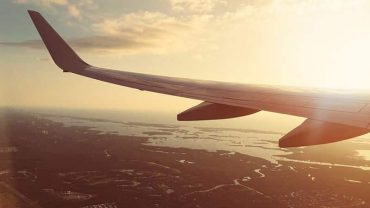 Duis sagitis ipsum prasent