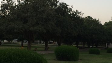 Salalah Public Park