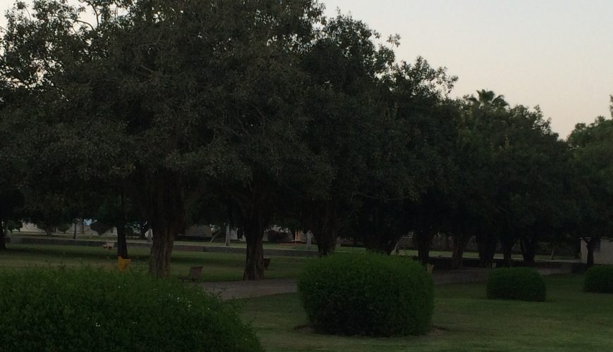 Salalah Public Park