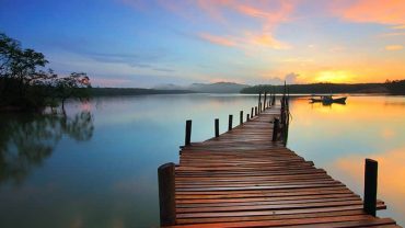 Metus vitae pharetra auctor