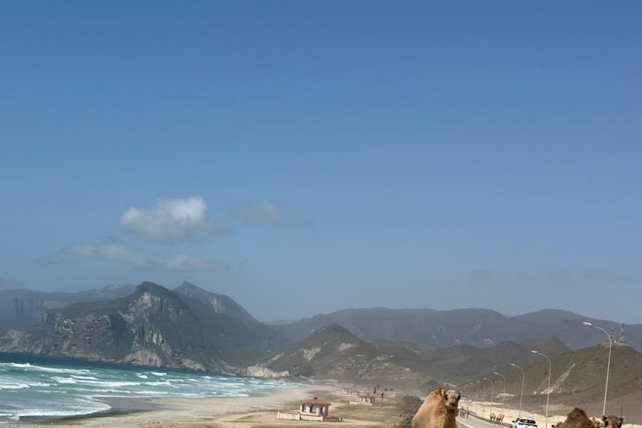 Salalah Tour Package from Dubai: UAE National Day 2026