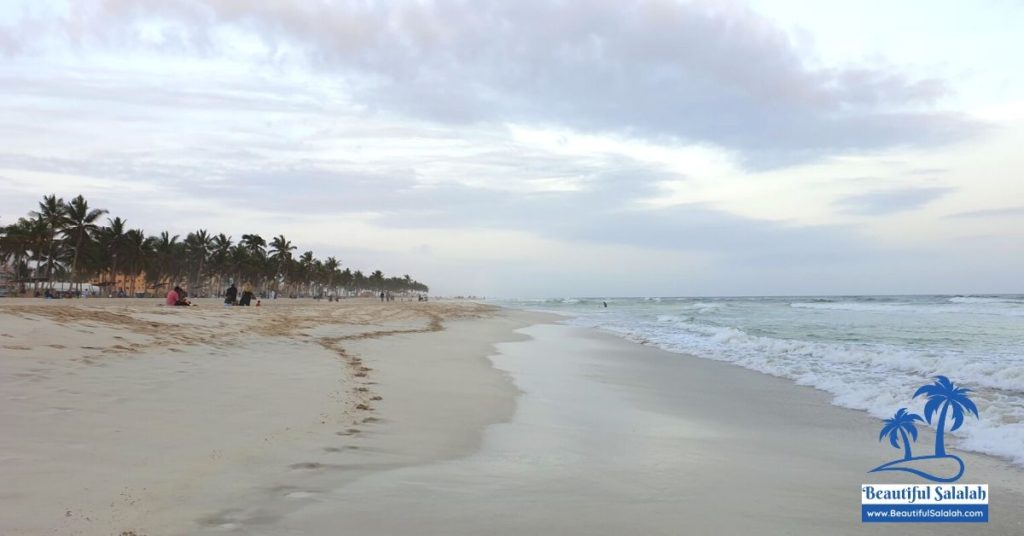 Beautiful Dahariz Beach with Coconut Trees