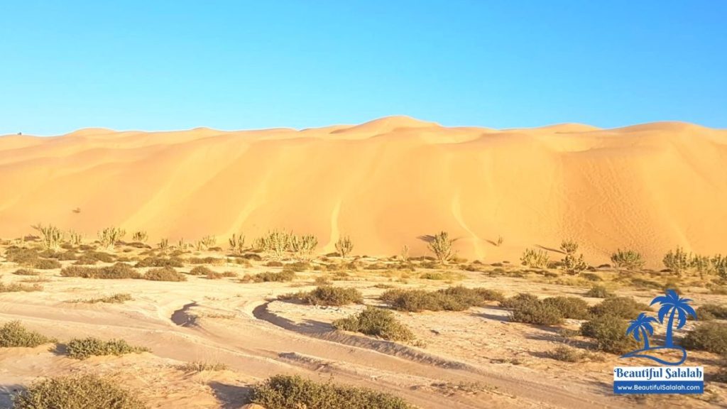 Empty Quarter Oman Near Salalah