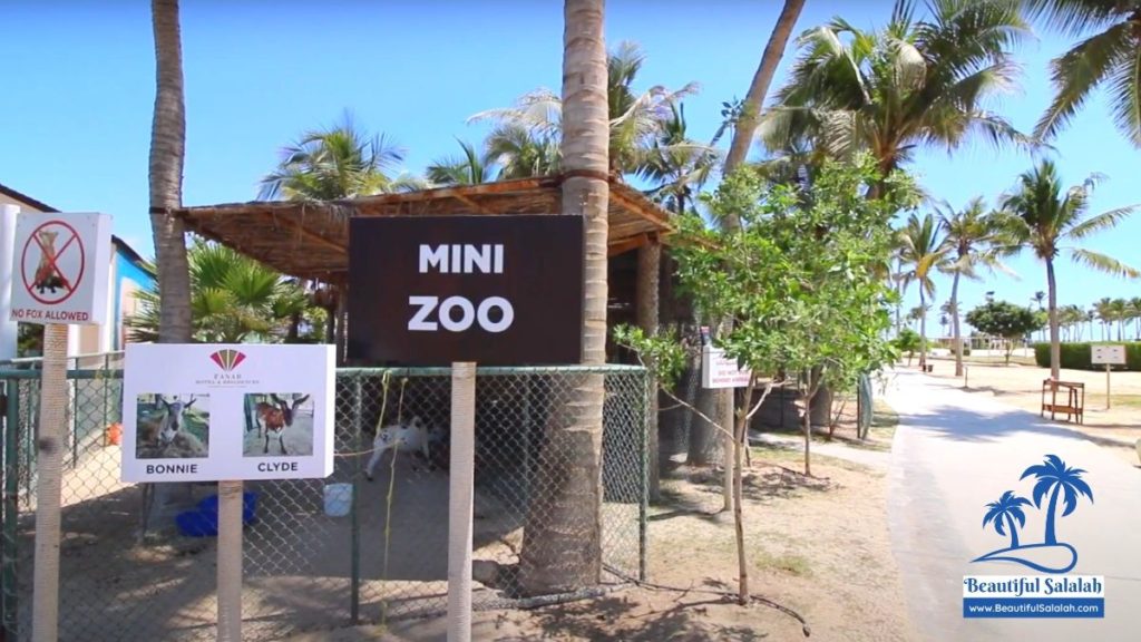 Mini Zoo in Salalah, Oman