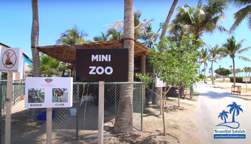 Mini Zoo in Salalah, Oman
