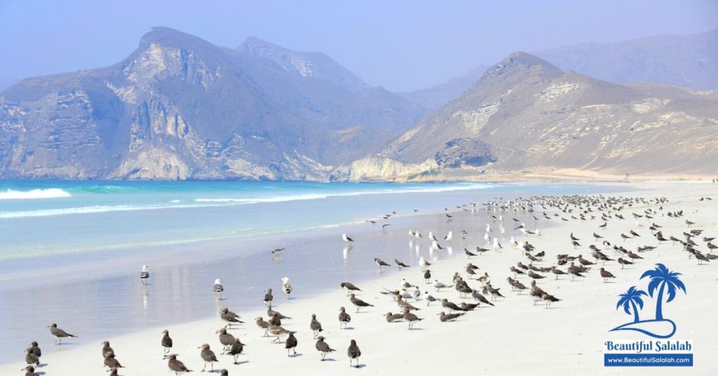 Mughsail Beach Salalah Oman