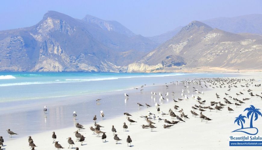 Mughsail Beach Salalah Oman