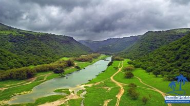 The Canal in Wadi Darbat