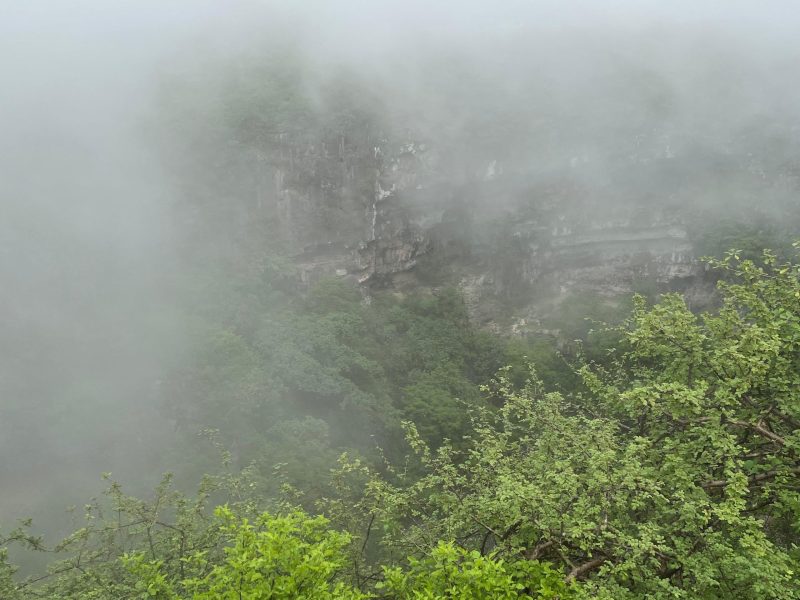 Khareef 4 Days Adventure Package – Dubai to Salalah By Bus