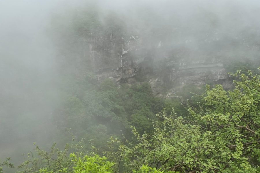 باقة مغامرات الخريف 4 أيام – من دبي إلى صلالة بالحافلة