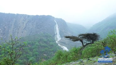Travertine Curtain Wadi Darbat Salalah