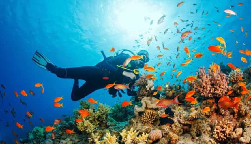 snorkeling in Mirbat
