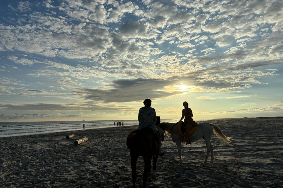 Horse Riding on Salalah Beach