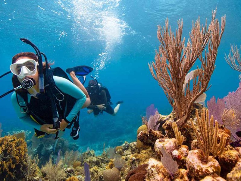 Scuba Diving