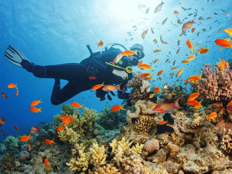 Snorkeling in Mirbat