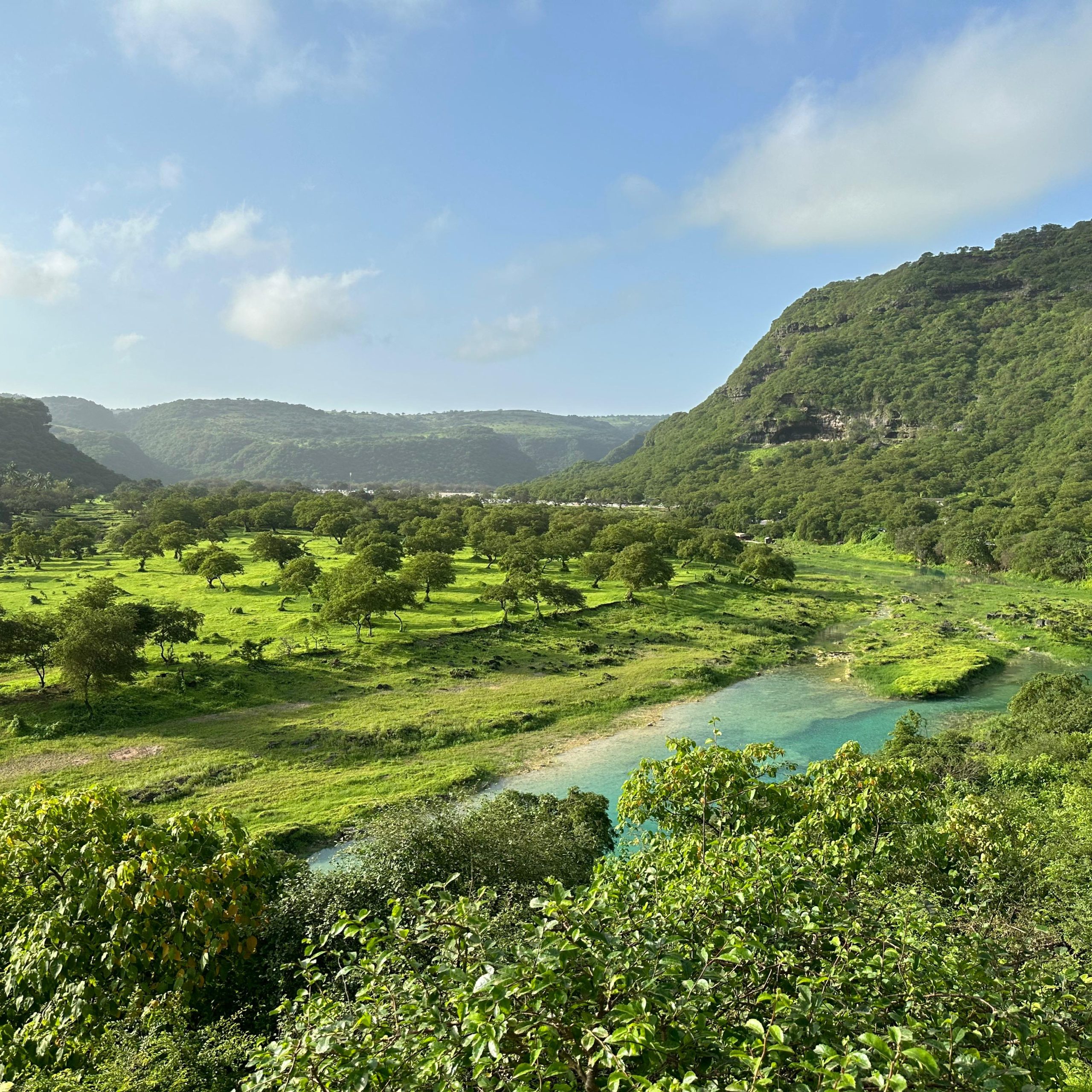 Salalah Khareef Tour Package 3 Nights 4 Days Beautiful Salalah Tours Salalah Khareef Tour Package 3 Nights 4 Days Beautiful Salalah Tours