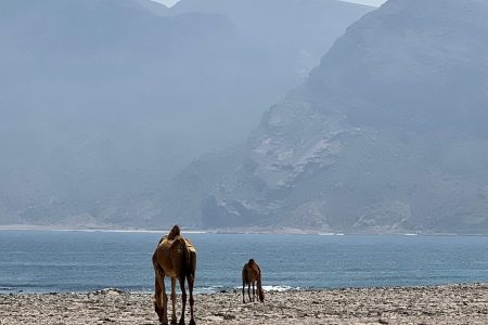 رحلة هاسك الخاصة صلالة – كثبان فوشي ومغامرة الساحل الشرقي