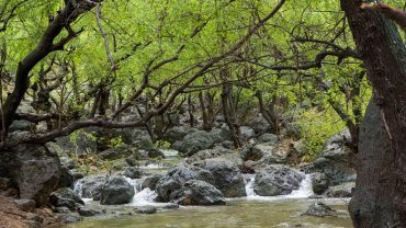 Ayn Hamran Salalah – Complete Guide to Ayn Hamran Spring, Oman
