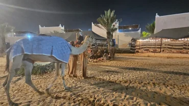 Udatal Madhi Heritage Village (عودة الماضي – السعادة) | Complete Visitor Guide