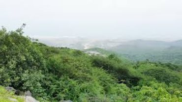 Ayn Hasheer Salalah – Complete Guide to Ayn Hasheer Spring, Oman