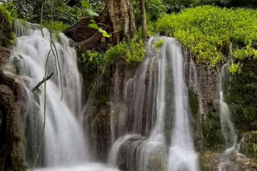 Salalah Waterfalls Tour – Ayn Athum & Ayn Tubrook | Private