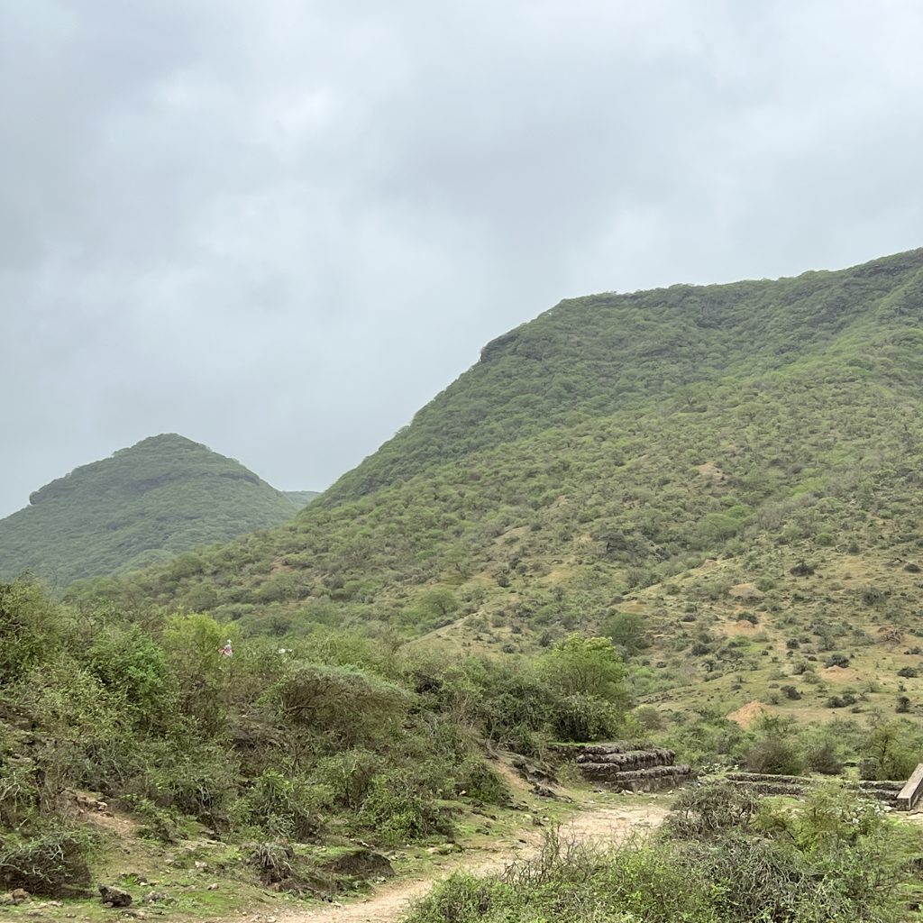Wadi Sahalnoot