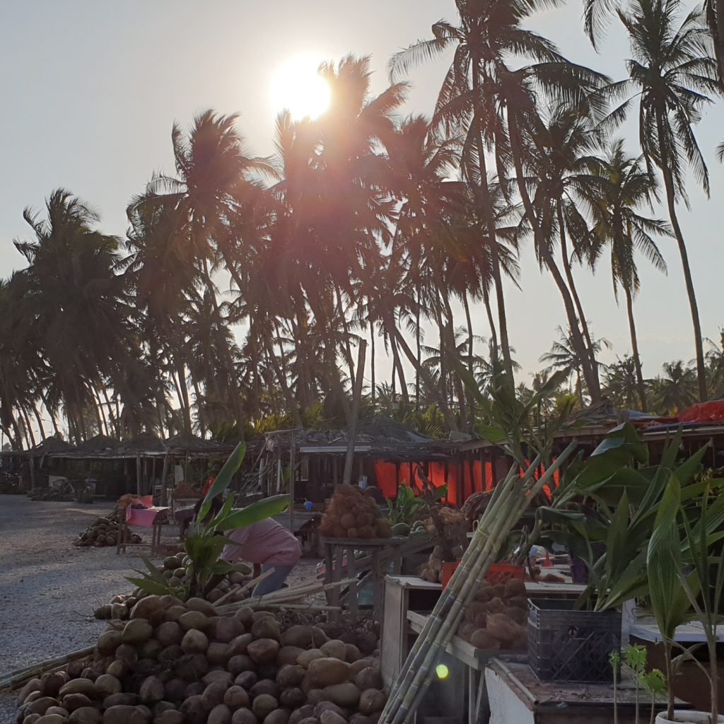 haffa coconut huts