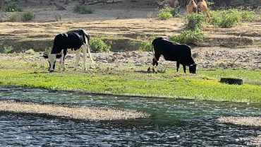 Wadi Darbat Salalah Oman – Know All Activities