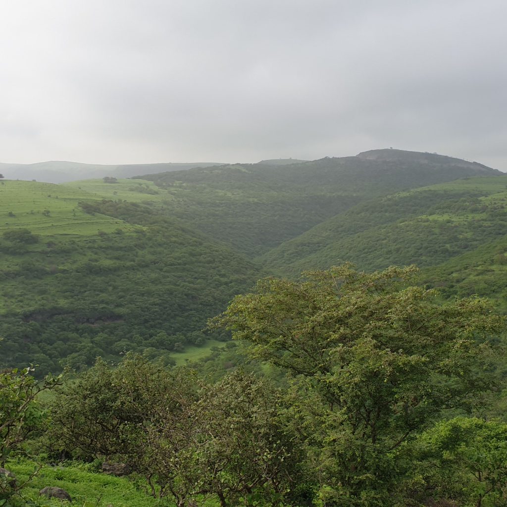 Wadi Nahiz